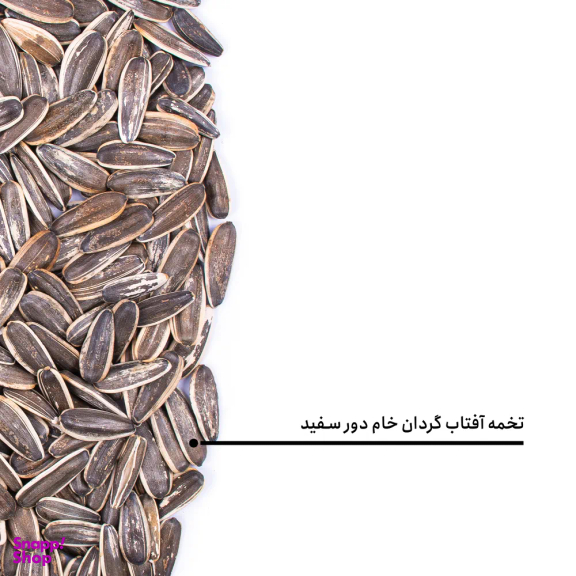 تخمه آفتابگردان خام دور سفید بارجیل