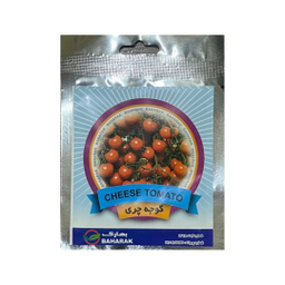 بذر گیاه گوجه چری