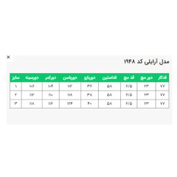 بارانی زنانه السانا مدل آرایلی کد 194832