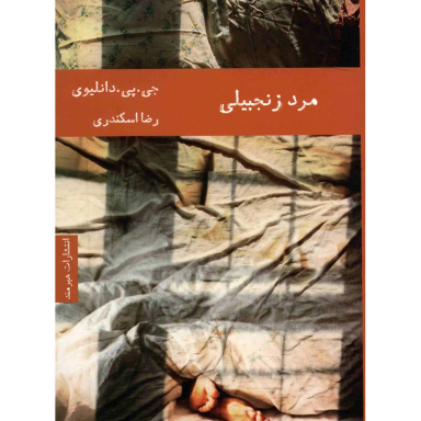 کتاب مرد زنجبیلی اثر جی.پی.دانلیوی انتشارات هیرمند