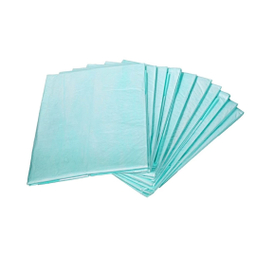 پد زیر انداز بهداشتی حیوانات خانگی مدل Eco Pad سایز 60×90 سانتی متر بسته 10 عددی