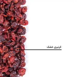 کرنبری خشک بارجیل