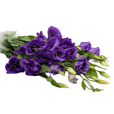 دسته گل لیسیانتوس بنفش
