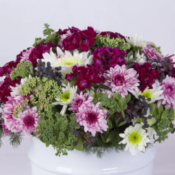 باکس گل داوودی گل باختر کد 4130