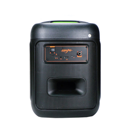 اسپیکر بلوتوثی قابل حمل آکو مدل Boom Box 300