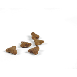 غذای خشک گربه جوسرا مدل leger وزن 10 کیلوگرم