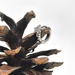 پیرسینگ گوش زنانه اقلیمه مدل HS339