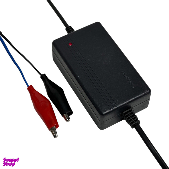 شارژر باتری 6 ولت 1.5 آمپر مدل بین راهی کد PST-BCH-0601