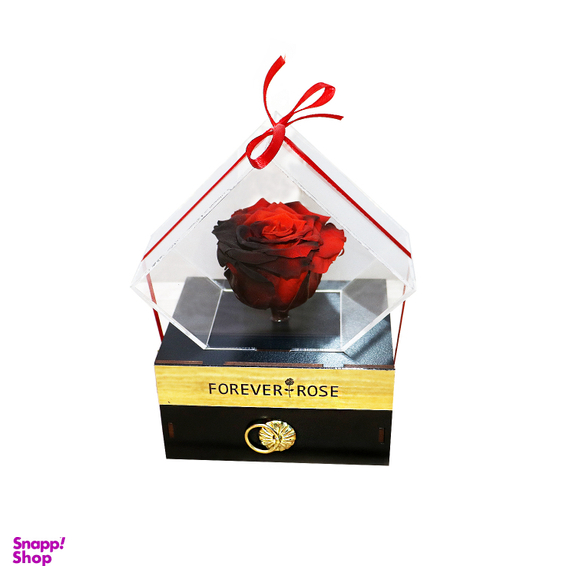 جعبه گل رز جاودان مدل Ember Rose