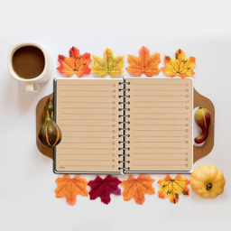 دفترچه یادداشت مستر راد طرح کرافت مدل گربه کیوت فانتزی کد Fiory 1928