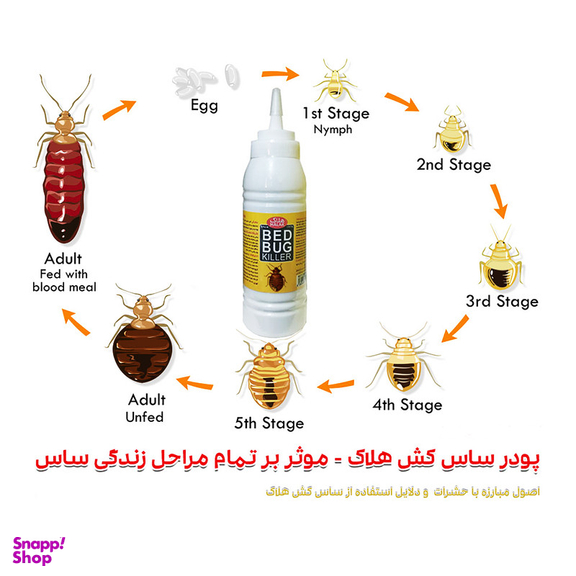 پودر ساس کش هلاک مدل Bed Bug حجم 130 میلی لیتر