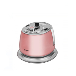 بخارگر ایستاده دسینی کد DS-639