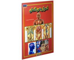 کتاب اسرار بدن انسان اثر فاطمه سروش راد نشر حباب