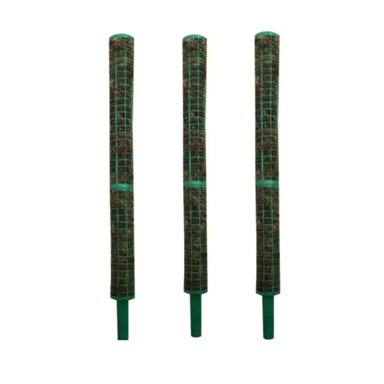 قیم خزه دار کد 02 بسته 3 عددی