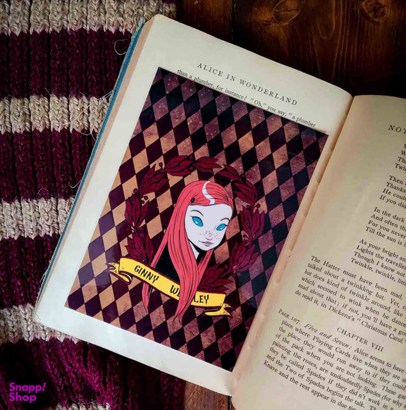 نشانگر کتاب مدل جینی ویزلی