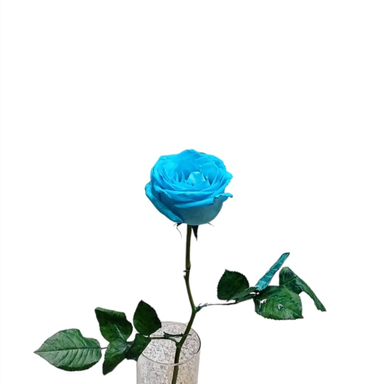 شاخه گل طبیعی گلی کد 20088