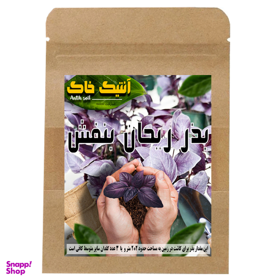 بذر ریحان بنفش اصلاح شده آنتیک خاک مدل PRE
