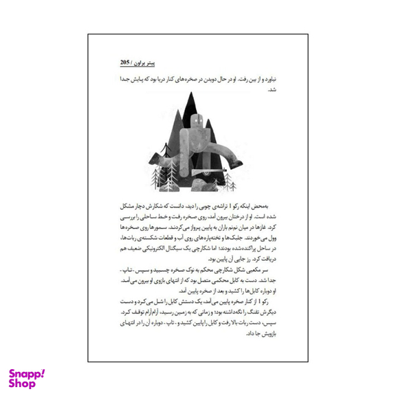 کتاب ربات وحشی اثر پیتر براون انتشارات آناناس