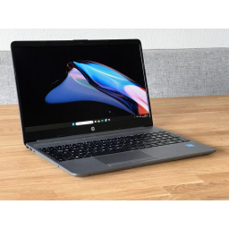 لپ تاپ 15.6 اینچ اچ‌ پی مدل G9 250-Celeron N4500-8GB DDR4-1TB SSD-TN کاستوم شده