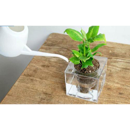 آکواریوم مدل گلدان شفاف