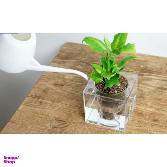 آکواریوم مدل گلدان شفاف