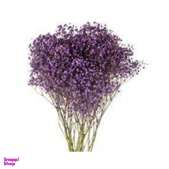 دسته گل طبیعی ژیپسوفیلا سایز بزرگ رنگ بنفش