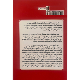 کتاب جريان های پنهان خانوادگی اثر افسانه نجم آبادی نشر بيدگل