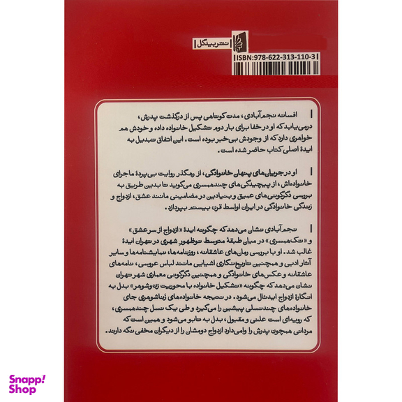 کتاب جريان های پنهان خانوادگی اثر افسانه نجم آبادی نشر بيدگل