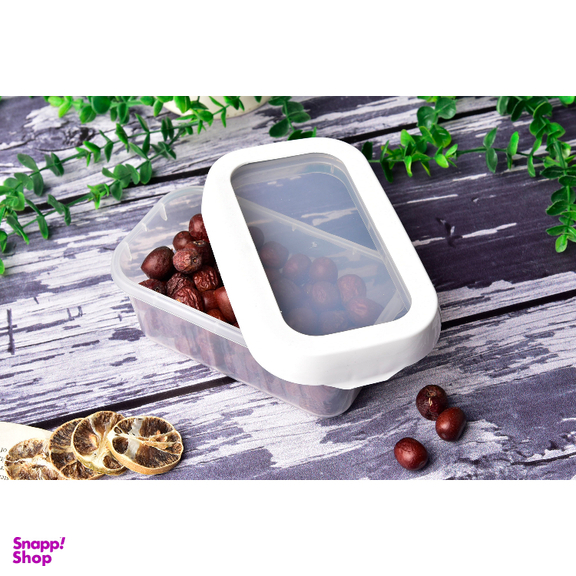 ظرف نگهدارنده آریاسام مدل Lockablle کد 217