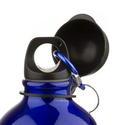 قمقمه پرو اسپورتز مدل 006 گنجایش 750 میلی لیتر