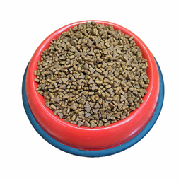 غذای خشک گربه فیدار پاتیرا مدل ادالت کت فود وزن 1 کیلوگرم