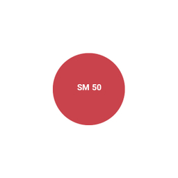 رژ لب جامد اشتون شماره SM50