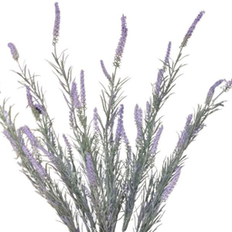 گل لاوندر مصنوعی کد 0390