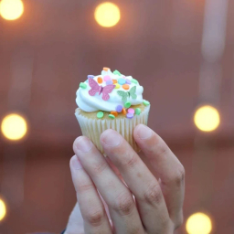 قالب فوندانت به گز طرح پروانه