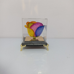 گل خشک رز جاودان کد 503