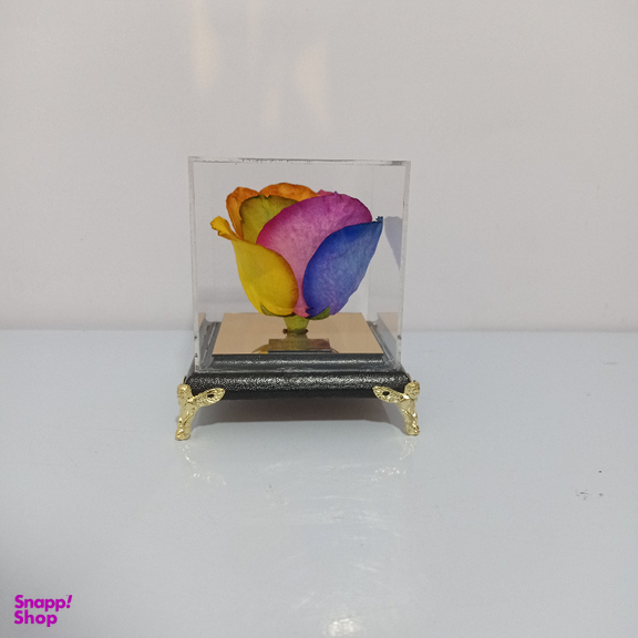 گل خشک رز جاودان کد 503