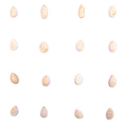 تخمه کدو مرمری برشته بارجیل