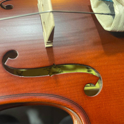 ویولن فندر کد 01
