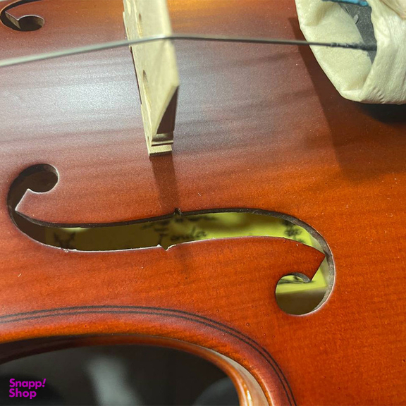 ویولن فندر کد 01