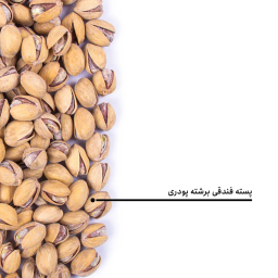 پسته فندقی برشته پودری بارجیل