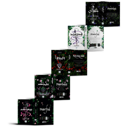 کتاب ناتوان و قدرتمند و بی پروا و بی باک و بیمناک اثر لورن رابرتس نشر آذرگون 5 جلدی
