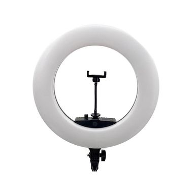 رینگ لایت زیوس مدل FE-480 ll