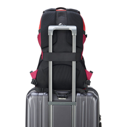 کوله پشتی ورزشی دلسی مدل NOMADE کد 3335611