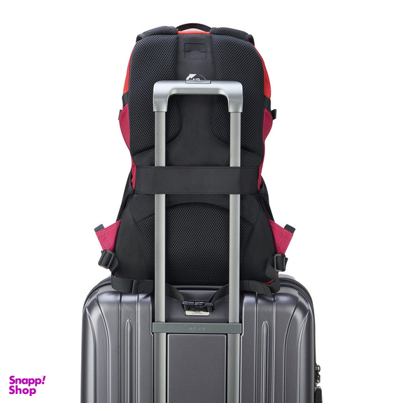 کوله پشتی ورزشی دلسی مدل NOMADE کد 3335611