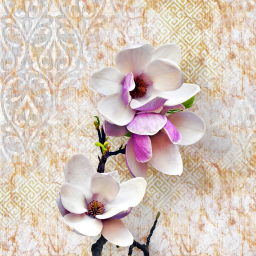 پرده زبرا مدل TD-55 سایز 135x180 سانتی متر