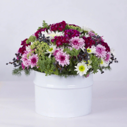 باکس گل داوودی گل باختر کد 4130