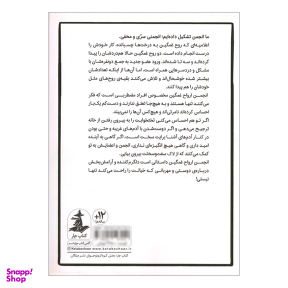 کتاب انجمن ارواح غمگین 3 اثر لیز مدینگز نشر میلکان