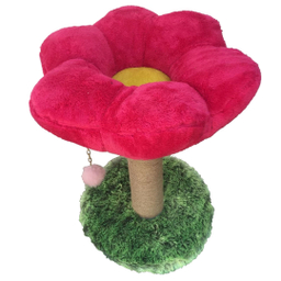 اسکرچر و جای خواب گربه مدل گل