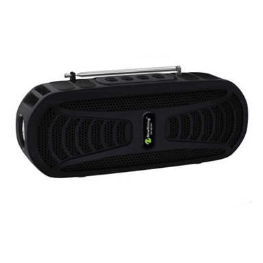 اسپیکر قابل حمل نیوریکسینگ مدل NR-B6FMT