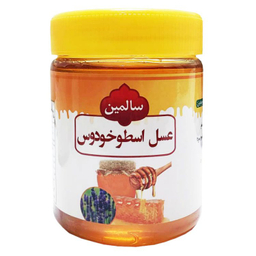 عسل اسطوخودوس سالمین وزن 500 گرم